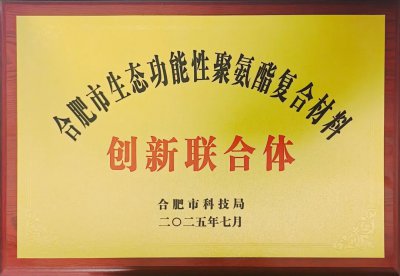 安利股份牵头组建的合肥市创新联合体获授牌