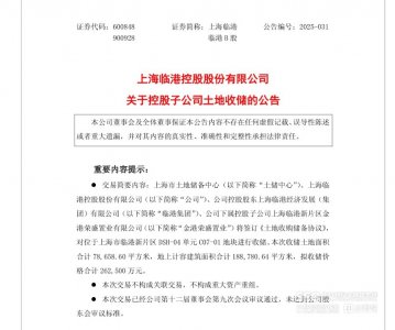 上海首例公开土地收储落地临港 优化供给稳市场