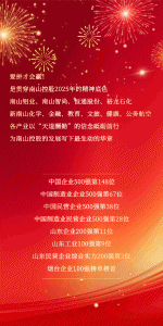 这一年，南山控股“蛮拼的”！