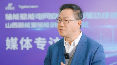 王中林院士:能源转型要靠 “大电网 + 毛细血管