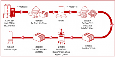 【东东工艺指南】高收率质粒制备工艺，加速基