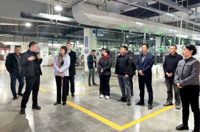 朱美芳院士一行莅临伟星股份SAB调研指导