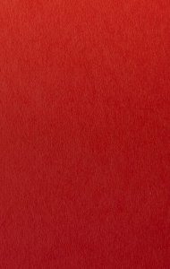 骐骥驰骋开先路 久久为功赴远途——润和软件党