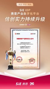 赛意IDP斩获海量数据认证，以“小快轻准”驱动