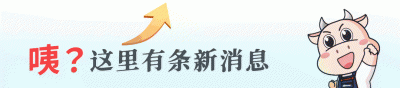中钢国际以AI技术赋能，驱动管理与产业双升级