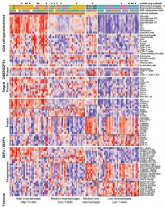 数智转型赋能中医药 同仁堂 AI 新药开发平台建设