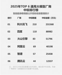 科大讯飞蝉联大模型“标王”!2025 年数量、金额