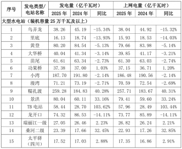 华能水电：2025年完成发电量同比增加13.32%