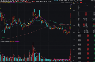 连续4个涨停板 “跨界失意者”南兴股份的魔幻逆