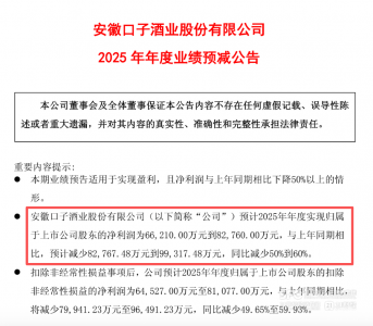 白酒股首份年度业绩：口子窖去年盈利腰斩