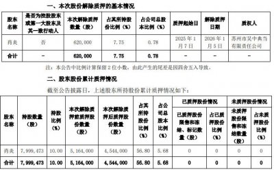 华安鑫创股东肖炎所持62万股公司股份解押