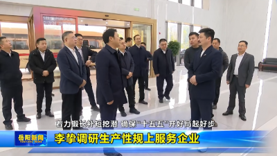 政企同心，赋能发展：市领导一行调研百利科技