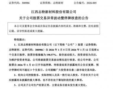 6连“20cm”涨停！300986，停牌核查