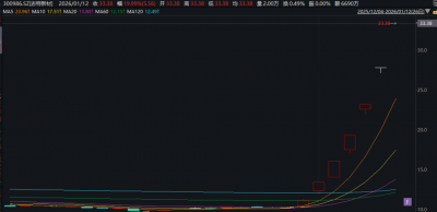 “20cm”6连板!今年最牛股,停牌核查!