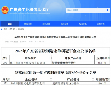 【国星荣誉】“新增+复核”双喜报!国星光电再