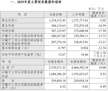 新集能源:2025年实现归母净利润