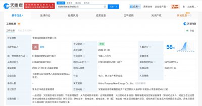 阳光电源在芜湖成立新能源公司