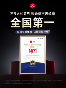 2025 双冠王，石头科技如何领跑洗地机赛道？