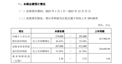 钾、锂产品接续发力 藏格矿业2025年预盈37亿元