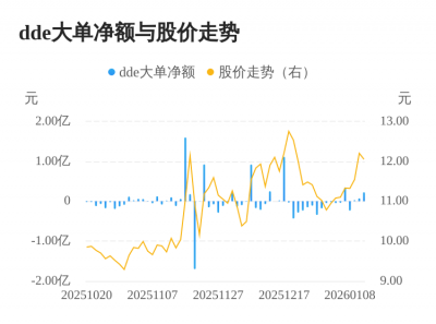 丽人丽妆主力资金持续净流入，3日