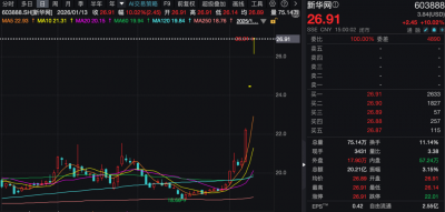 上市公司“扎堆”回应：暂无AI应用相关收入