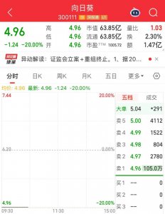 遭立案重组终止，股价一字跌停，
