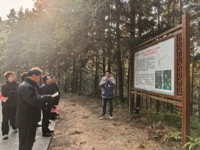 榆林市林草局一行莅临福建金森调