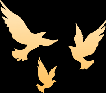 国泰君安期货山东分公司助力华泰股份圆满完成