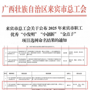 【向新而行】中金岭南广西矿业3个项目获来宾市