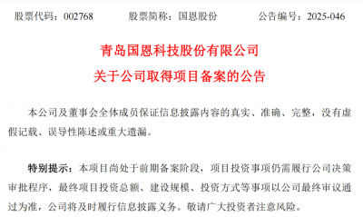 全球化大潮涌来，国恩股份如何守好化工新材料