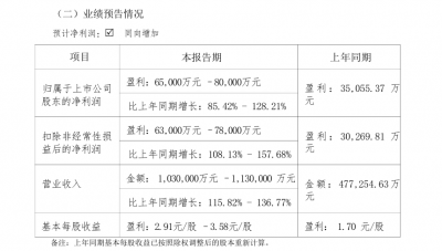 600亿存储龙头，业绩暴涨