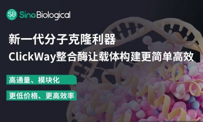 技术革新，克隆无忧：ClickWay整合酶