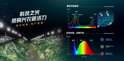 【向新而行】点赞！佛山照明两项