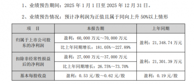 闰土股份预计2025年净利润6亿元~7亿元,持股沐曦