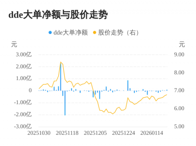 祥源文旅主力资金持续净流入，3日共净流入159