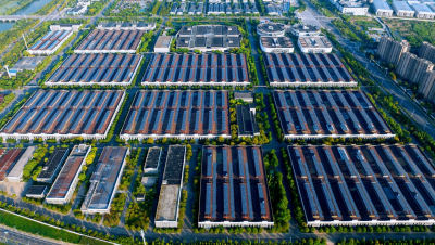 洋河股份：70万吨原酒储备护航公司2026韧性前行