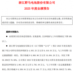 产品单价、出口退税率双双下滑,野马电池2025年
