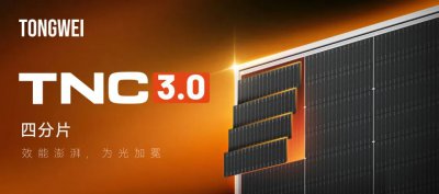 通威股份三大经营主体2025年度核心管理干部述职