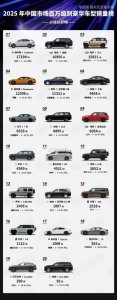 2025年中国百万级豪华车销量榜出炉：比亚迪仰望