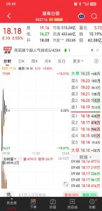 1分钟跌停 4分钟拉回 500亿市值湖南