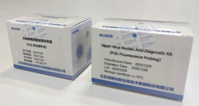 尼帕病毒防控再聚焦：博晖创新以全方位方案，