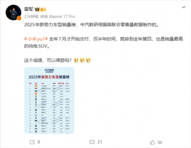 小米YU7仅半年跻身年度第四,成纯电SUV销冠,雷