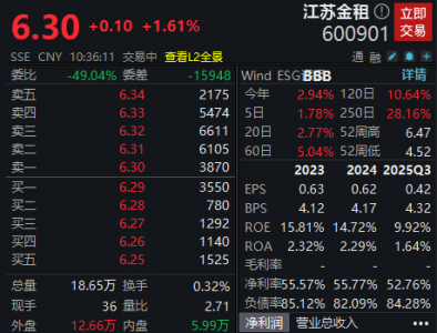 “金租行业第一股”被罚165万元