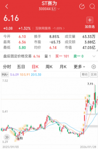 重整投资人已内定？ST赛为限时18天