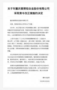 重庆顺博铝合金被责令改正，涉财