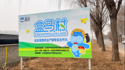 北京平谷有机草莓“盒马村”挂牌 “盒区房”居
