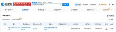 华谊兄弟王中磊因599万案款被限消