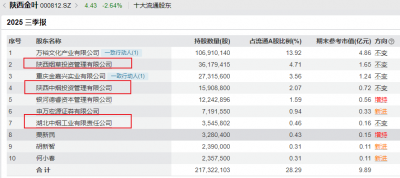陕西金叶：“三轮驱动”战略铸就