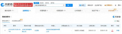 华谊兄弟王中磊因599万案款再次被