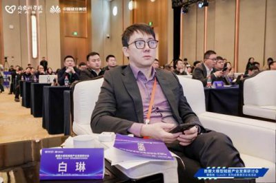 彩讯股份CEO白琳:企业级AI正从技术热潮走向系统